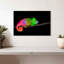 Caméléon arc-en-ciel Brampt-108695232