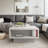 Caomhan Pedestal Coffee Table with Storage-396201882