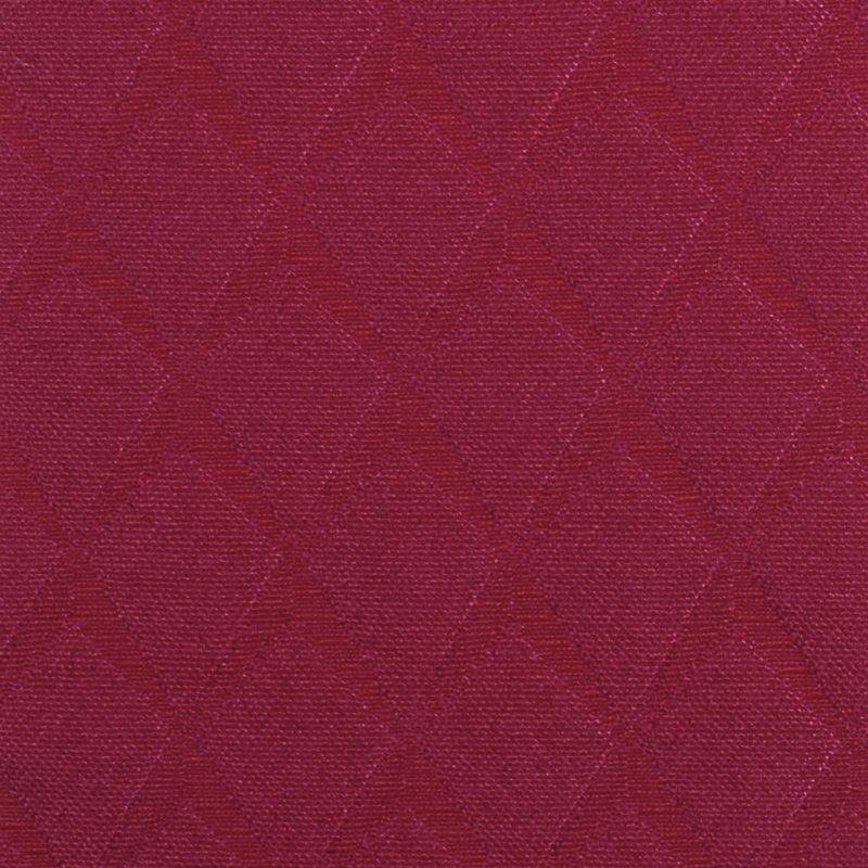 Tissu Eichen Kathryn Boyd exclusivement Lucchese, Fuchsia