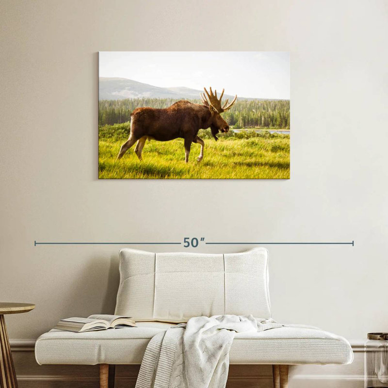 Crowle Grazing Wild Moose, 24" H x 36" W