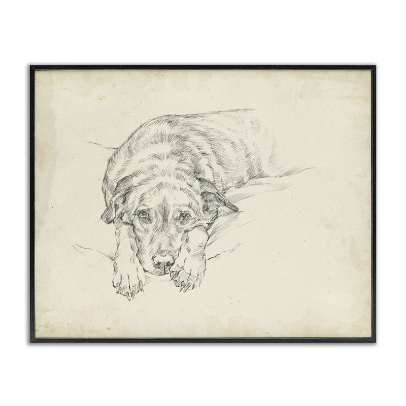 Chien antique regardant par estampe numérique, conception par Ethan Harper, H 11 po x l 14 po, Giclée encadrée noir minuit