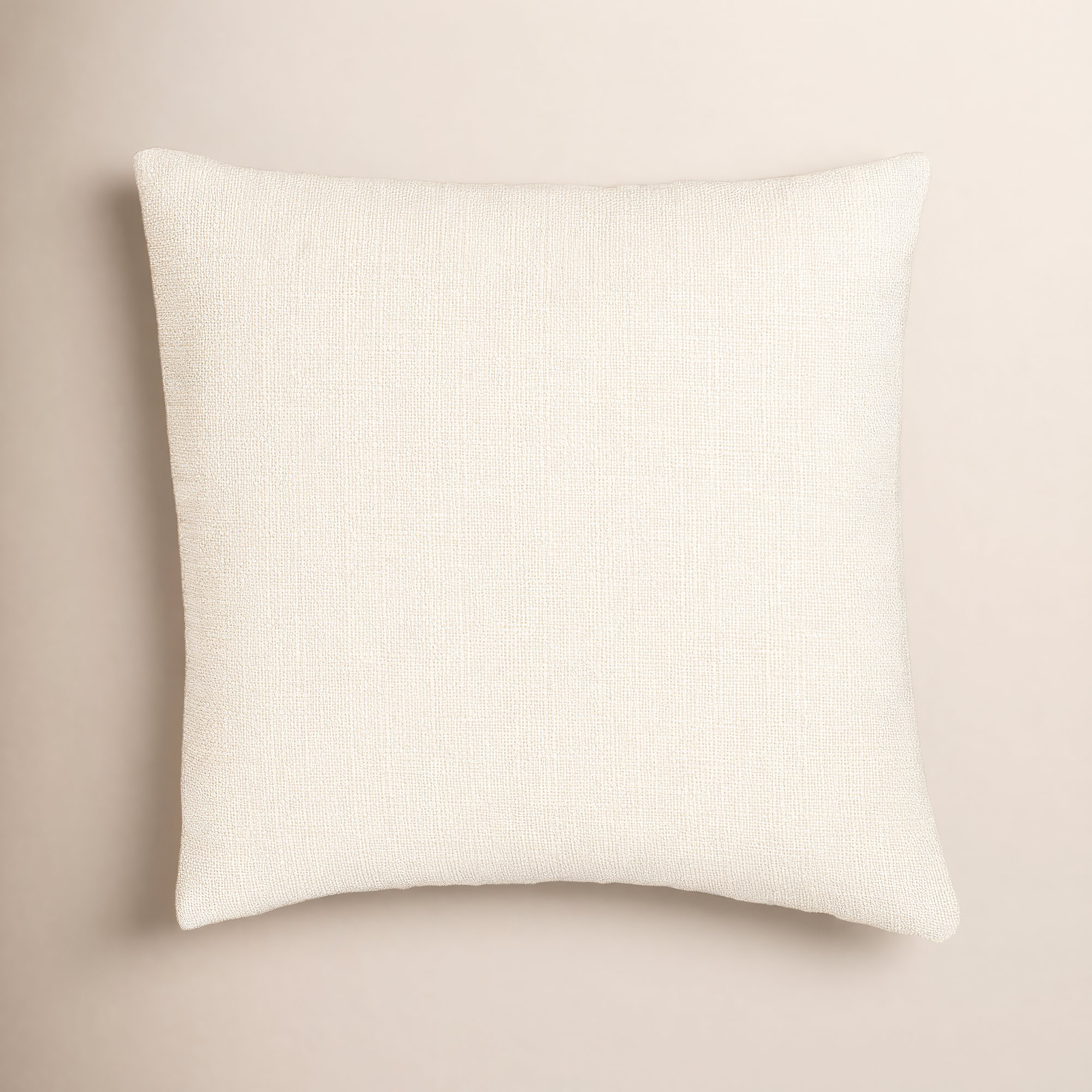 Birch Lane Coolidge Throw Pillow Throw, Cream, Square 20", Feather