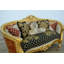 Luxor Sofa-636403257-597524645