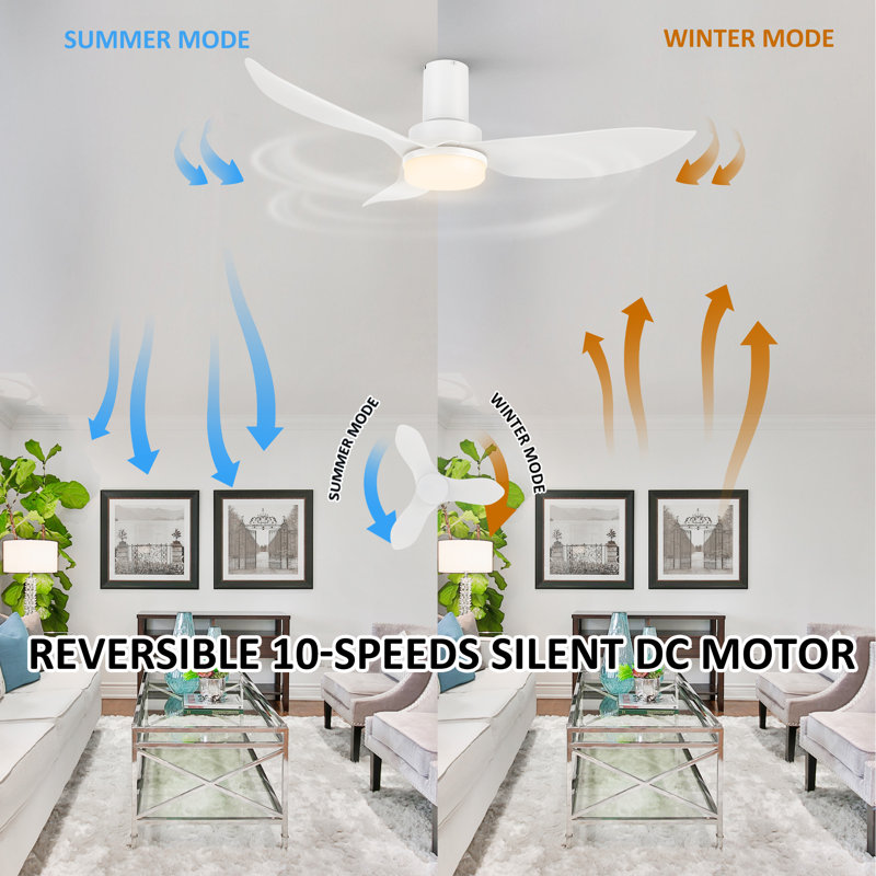 Effy 45'' Ceiling Fan with Light, White