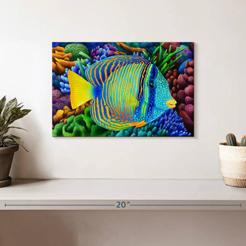 Sailfin Tang, 8" H x 12" W