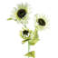 Plastic, Silk Artificial Arrangement-89222297