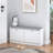 Upholstered Storage Bench