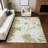 Machine Washable Indoor/Outdoor Oliveras ACN2263 Floral Rug-1336841375