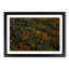Autumn Forest in Switzerland - Picture Frame Graphic Art Print-55686699-55686694