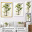 Vert, témoin de l'âge sycomore - arbre, sycomore, art mural-1033296831-1033296807