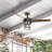 Amp 52'' Ceiling Fan with Light Kit