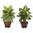 Golden Dieffenbachia Silk Plant with Wood Planter