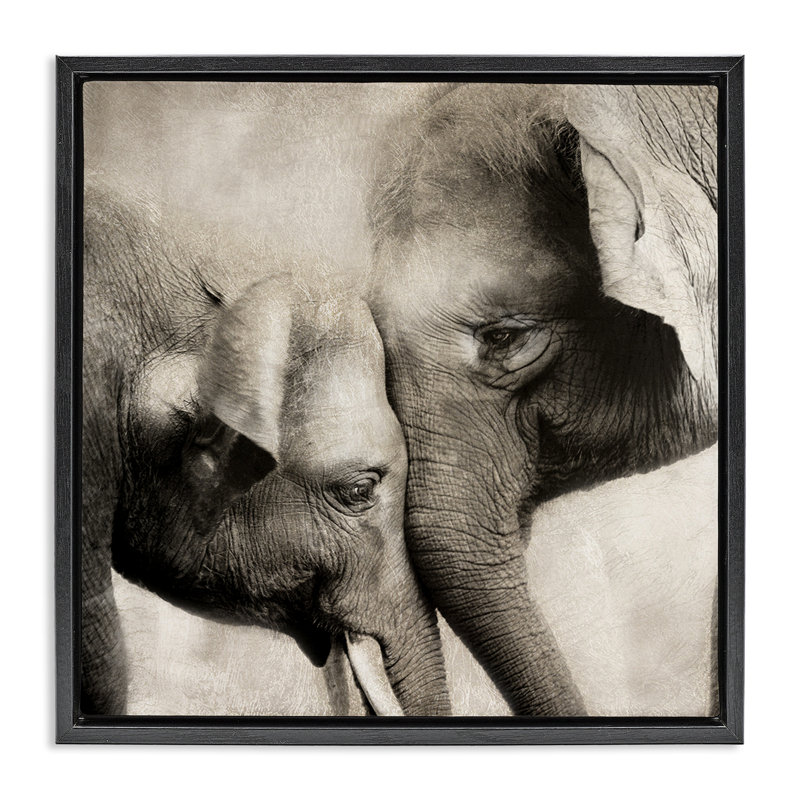 Cadre flottant éléphant et bébé, conception par CAD Designs, Cadre flottant noir de jais, H 18 po x l 18 po