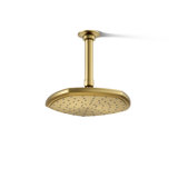 Occasion Rain Fixed Shower Head