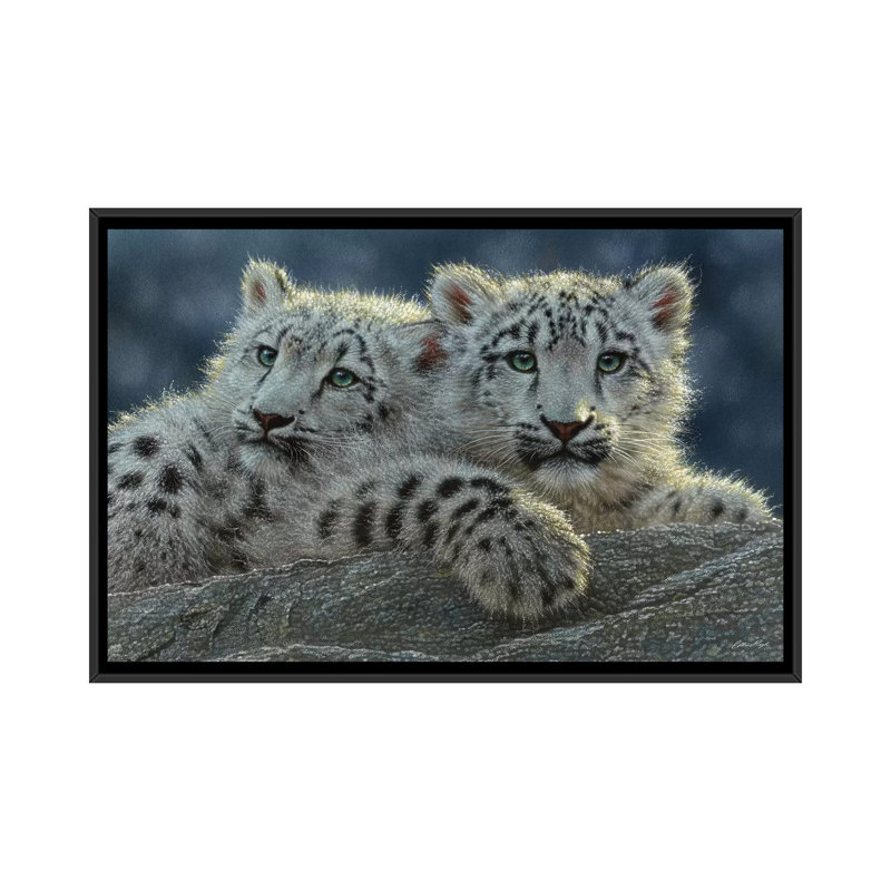 " Snow Leopard Cubs, Horizontal " by Collin Bogle, 32" H x 48" W x 1.5" D, Black Framed Canvas