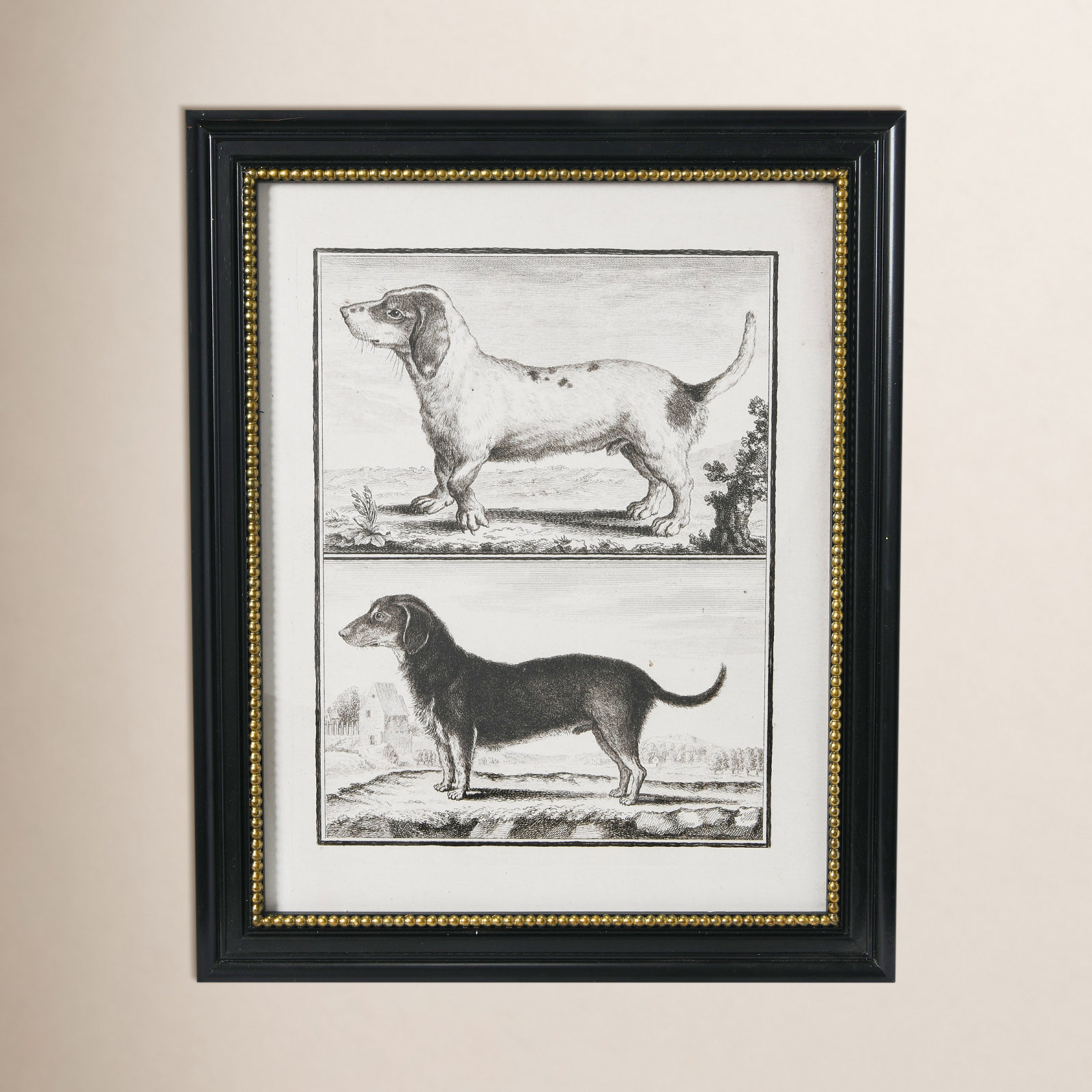 Twyla Reproduction Dog - Picture Frame Print on Wood