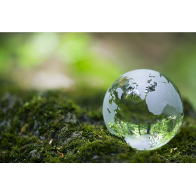 Globe on a Moss Rock by Ooyoo