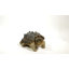 Statuette tortue