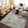 Oriental Area Rug