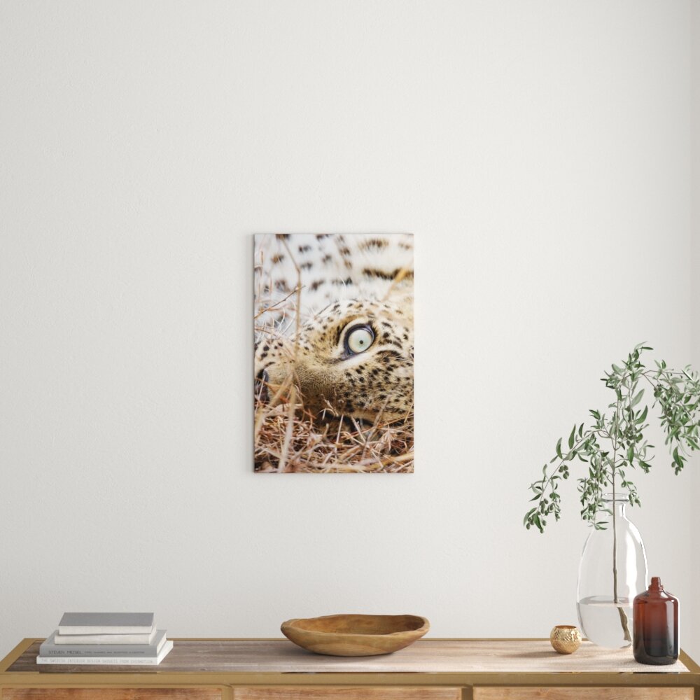 Leinwandbild Leopard, Fotodruck