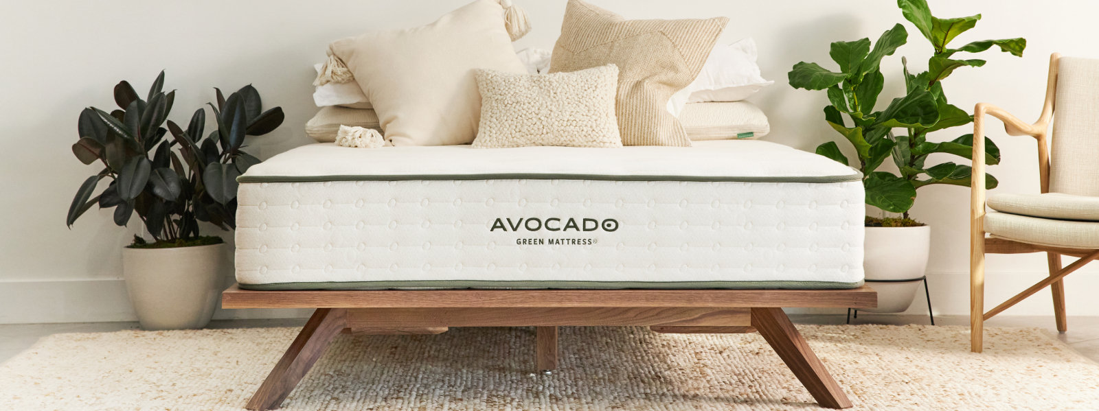 Avocado Image Hero