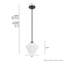 Plafonnier suspendu 1 lumière Hunter Celestial Valley-112470966