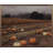 Time For Pumpkin Harvest-1016904355