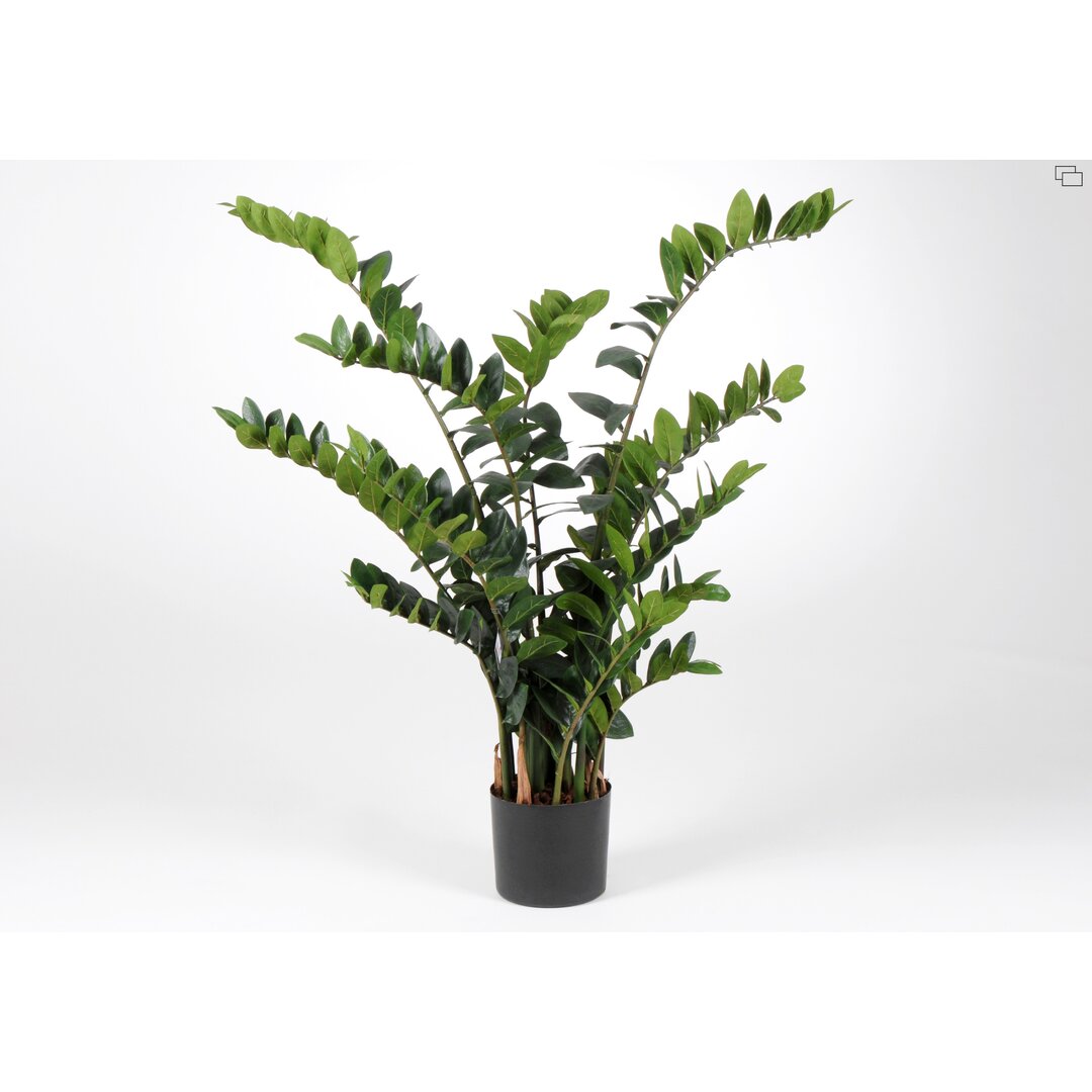 Boden-Kunstpflanze Eukalyptus im Topf Zamioculcas