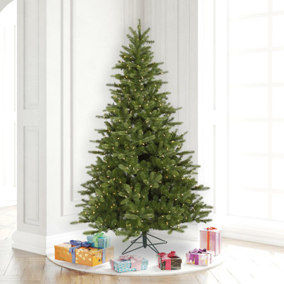 5.5' Lighted Spruce Christmas Tree