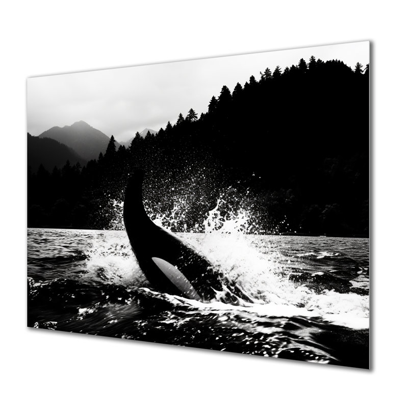 Orque éclaboussant dans l'eau, monochrome, décor d'art mural bord de mer, Sans cadre, métal, H 34 po x l 44 po