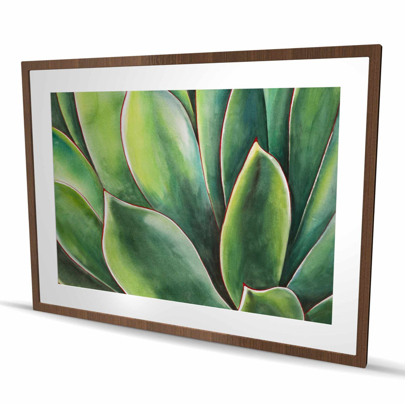 Aquarelle agave - impression encadrée de cactus emmêlés | Décor