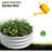 2Pcs W840116761 Galvanized Metal Raised Bed For Growing Potato And Beans, Double - Layer Galvanizing Longevity Planter With Reinforced Corners Use, Suitable Medium Rooting Plants-2116359414