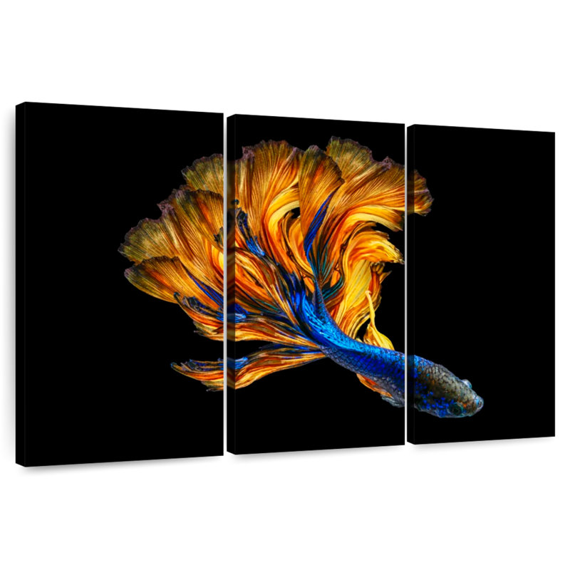 Brampt Yellow Tailed Blue Betta Fish, 28" H x 45" W