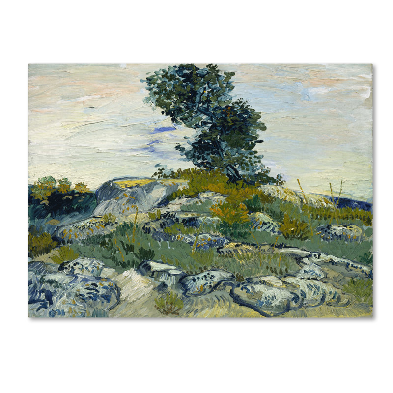 «The Rocks» par Vincent Van Gogh - reproduction d'art sur toile tendue, H 14 po x l 19 po