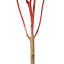 Hortensia naturel 15 "avec plusieurs branches, Natural Botanicals-1726425405