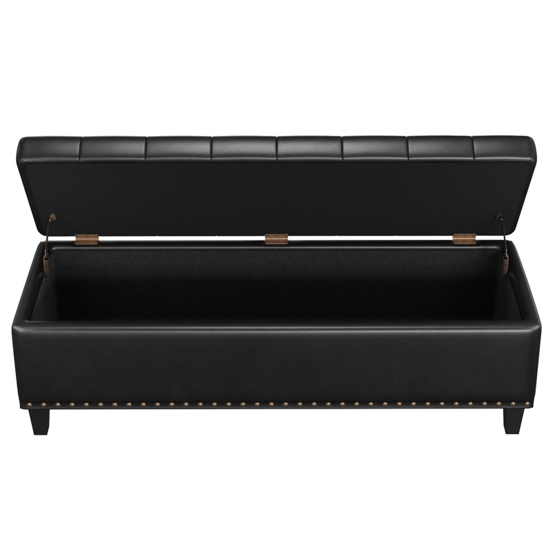 Madalie Faux Leather Upholstered Storage Bench, Black