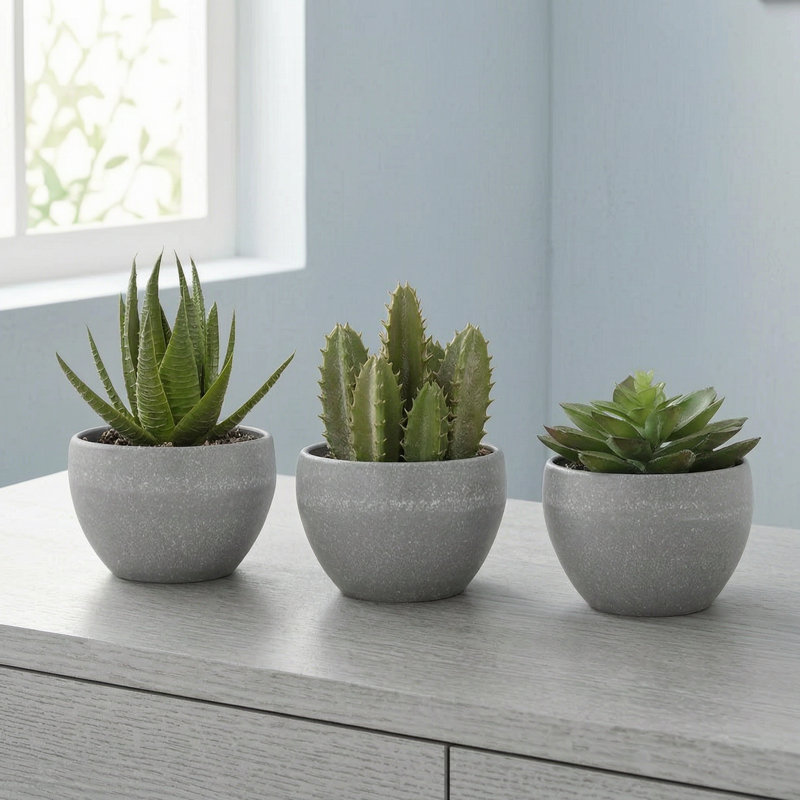 Ensemble de 3 plantes grasses artificielles de 5,7 po de hauteur en pots de ciment gris, décoration de table d'intérieur