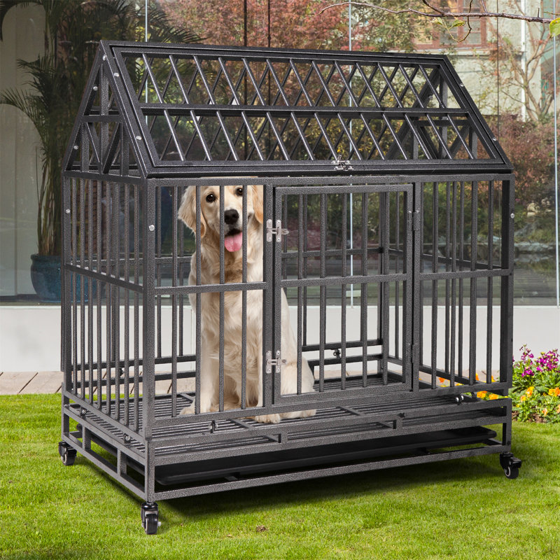 40.9'' H Metal Yard Kennel