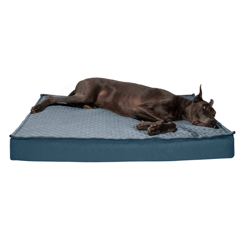 Orthopedic Polyester Pet Bed, Calm Blue, Jumbo Plus (53" W x 40" D x 5" H)