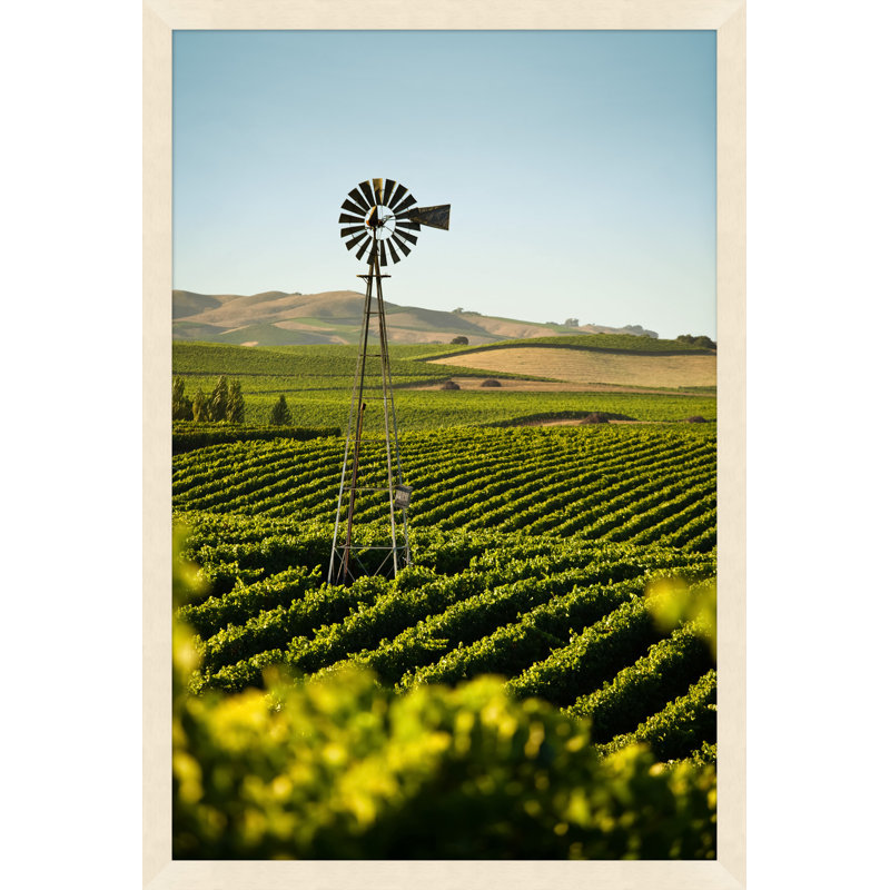 Northern California Vineyard Print by Nathan Turner