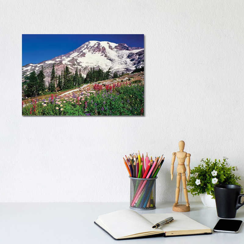 Fleurs d'été en fleurs dans le parc paradisiaque au-dessous de Mr. Rainier, parc national du Mont Rainier, Washington, États-Unis - Giclée sur toile tendue avec châssis