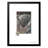 Picture Frame Print on