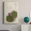 Cactus antique II - peinture sur toile tendue-1309131599
