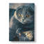 Scottish Fold Cat - Wrapped Canvas-61845276