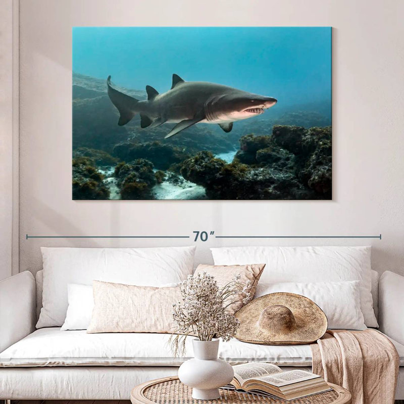 Aliwal Shoal Shark, 34" H x 51" W