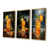 Gold Floater Framed