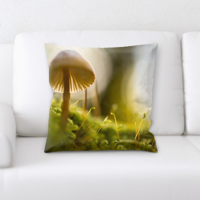 Coussin décoratif flou