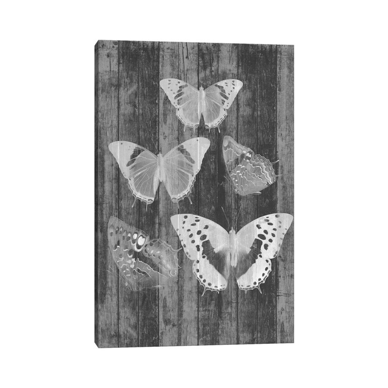 Rustic Butterfly Chart II by Jennifer Goldberger - Wrapped Canvas Print, 30.48 cm H x 45.72 cm W