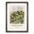 Walnut Framed selected