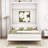 Renie Versatile Space-Saving Queen Murphy Bed with Sofa-1598593933